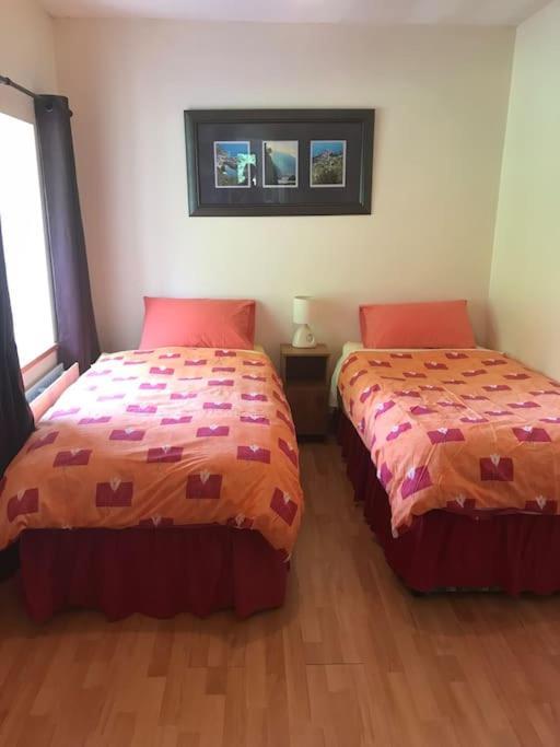 Castlegregory-Seaside 2 Bedroomed Cottage Eksteriør bilde