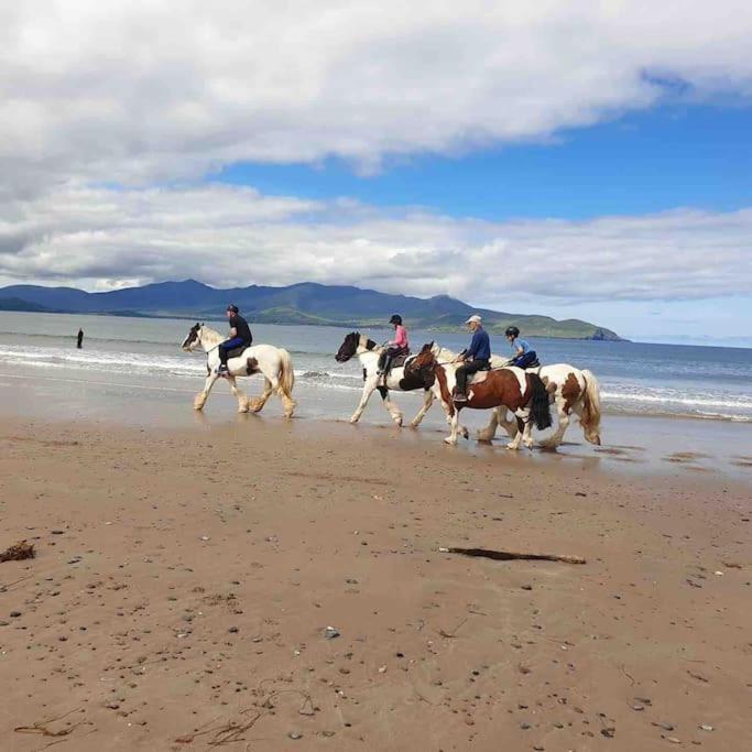 Castlegregory-Seaside 2 Bedroomed Cottage Eksteriør bilde