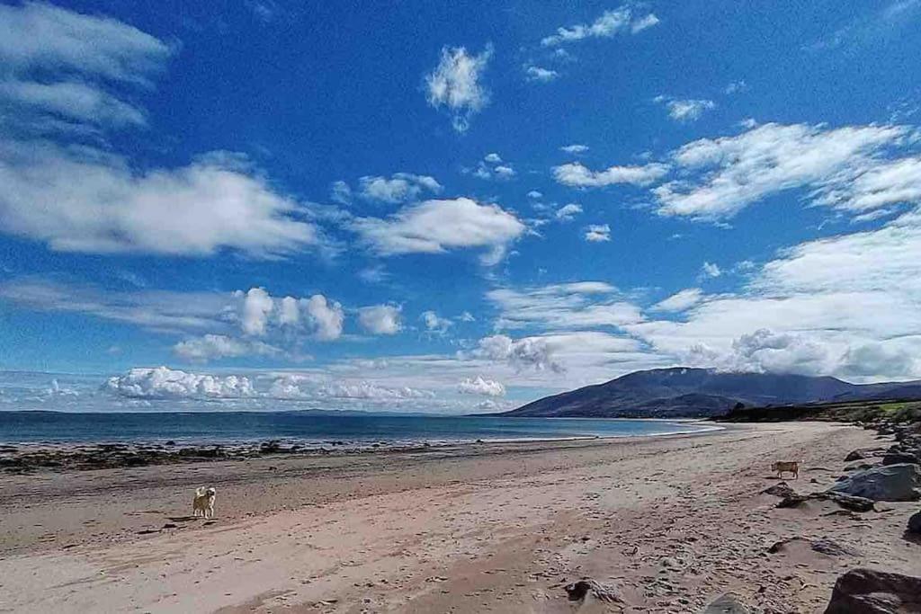 Castlegregory-Seaside 2 Bedroomed Cottage Eksteriør bilde